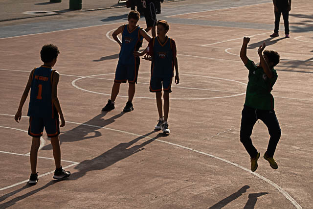 Ir a la Siguiente Foto