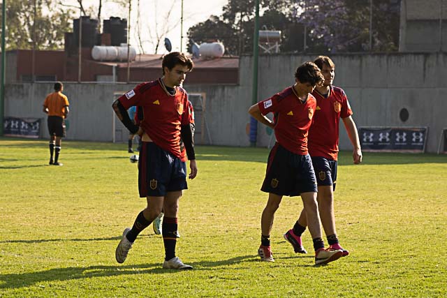 Ir a la Siguiente Foto