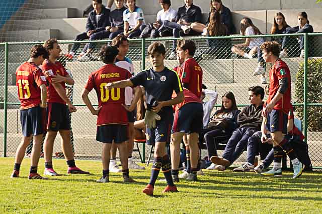 Ir a la Siguiente Foto