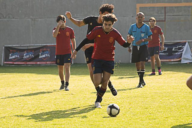 Ir a la Siguiente Foto