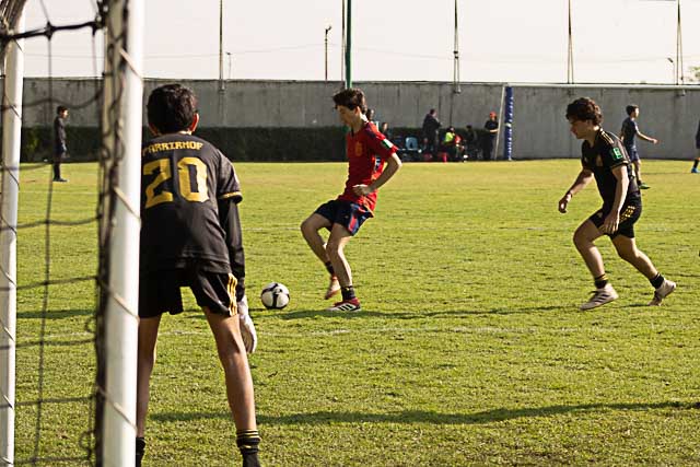 Ir a la Siguiente Foto