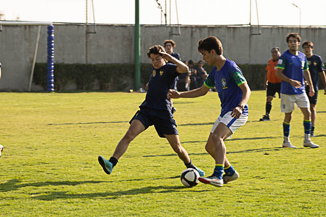 Ir a la Siguiente Foto