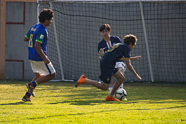 Ir a la Siguiente Foto