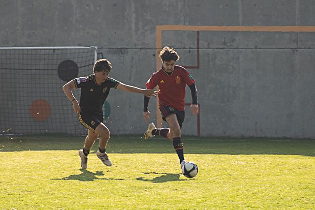 Ir a la Siguiente Foto