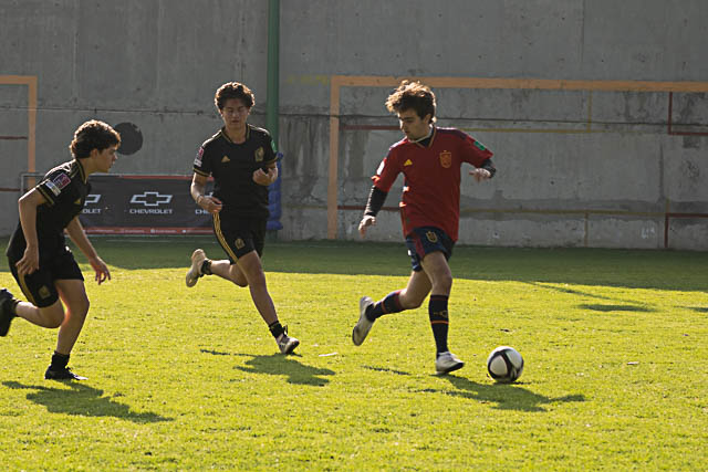 Ir a la Siguiente Foto