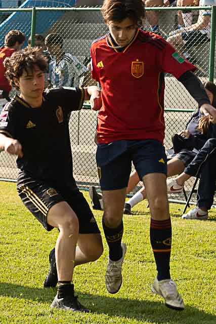 Ir a la Siguiente Foto