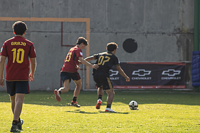 Ir a la Siguiente Foto