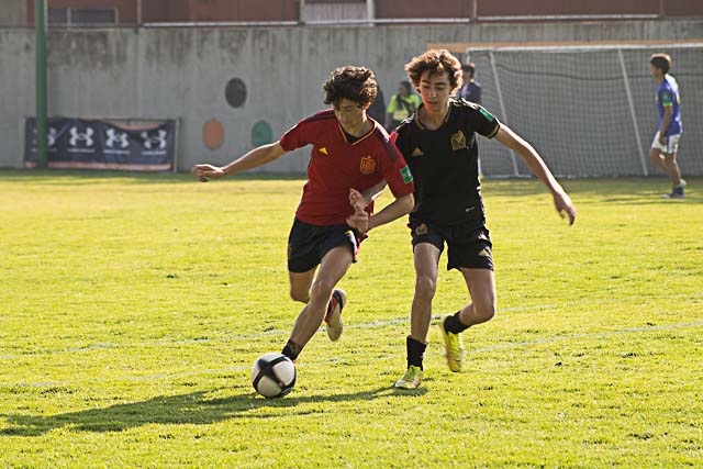 Ir a la Siguiente Foto