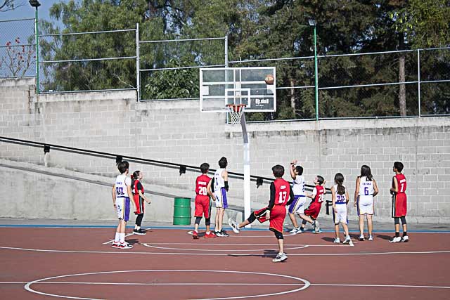 Ir a la Siguiente Foto