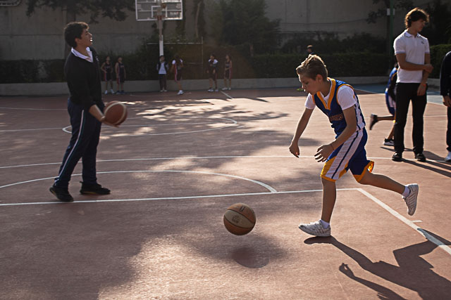 Ir a la Siguiente Foto