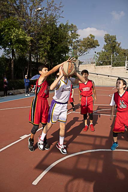 Ir a la Siguiente Foto