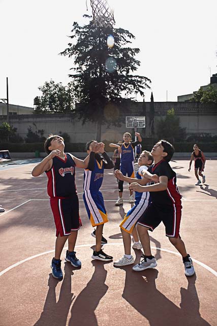 Ir a la Siguiente Foto