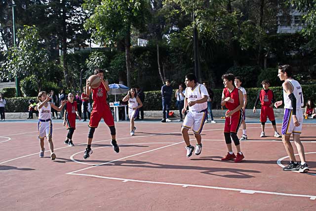 Ir a la Siguiente Foto