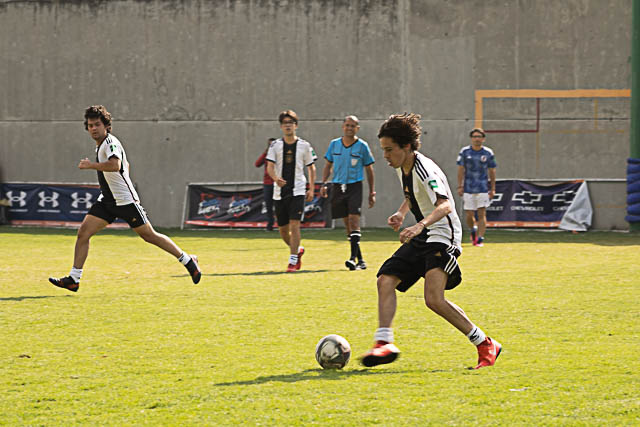 Ir a la Siguiente Foto