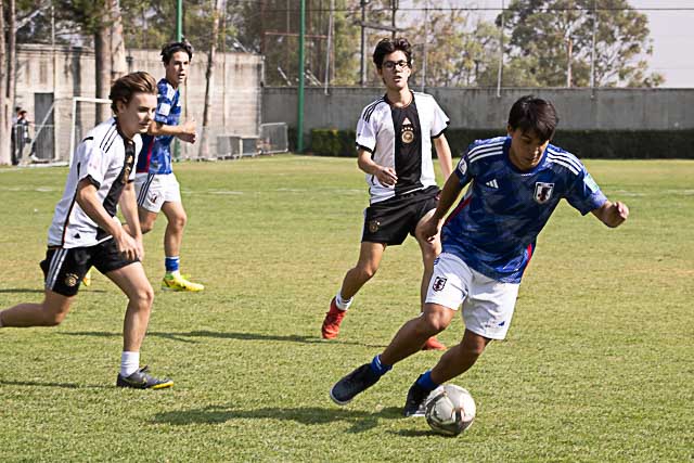 Ir a la Siguiente Foto