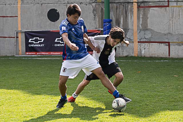 Ir a la Siguiente Foto