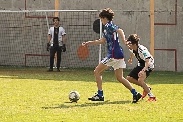 Ir a la Siguiente Foto