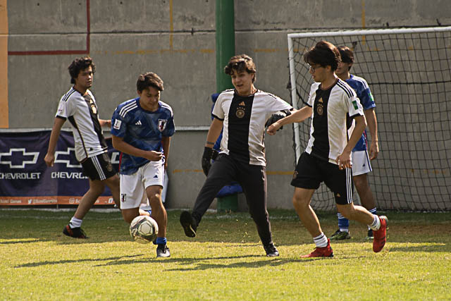 Ir a la Siguiente Foto