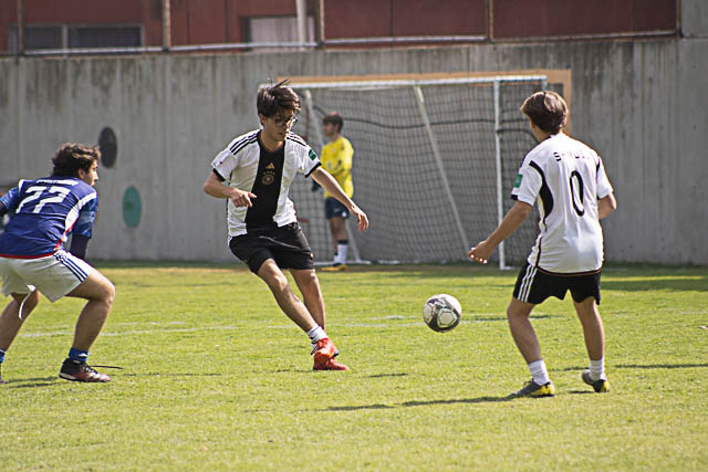 Ir a la Siguiente Foto