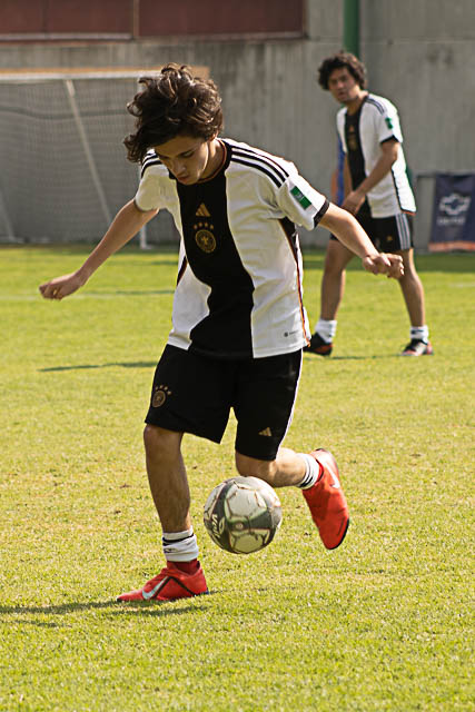 Ir a la Siguiente Foto