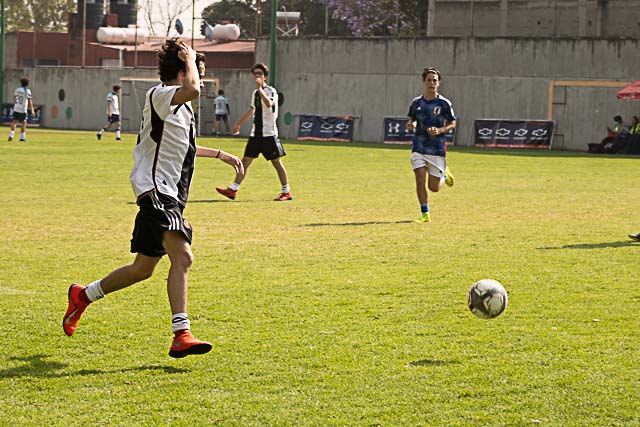 Ir a la Siguiente Foto