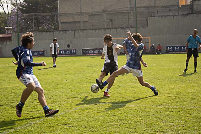 Ir a la Siguiente Foto