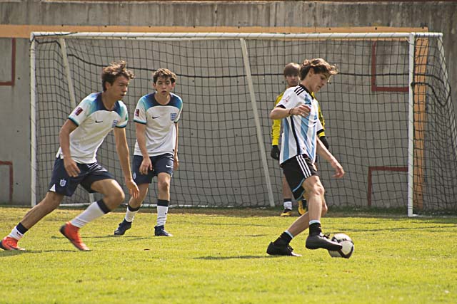 Ir a la Siguiente Foto