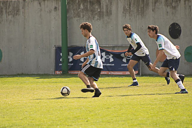 Ir a la Siguiente Foto