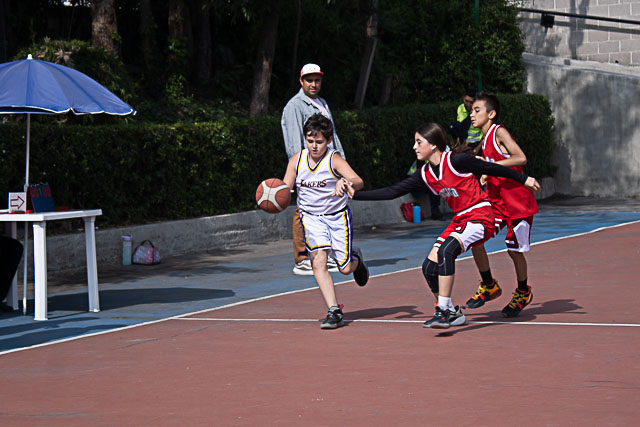 Ir a la Siguiente Foto