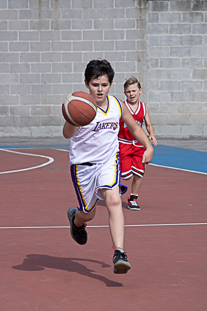 Ir a la Siguiente Foto