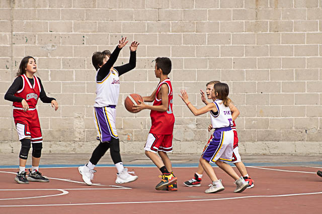 Ir a la Siguiente Foto