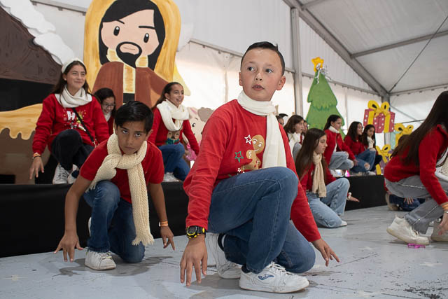 Ir a la Siguiente Foto