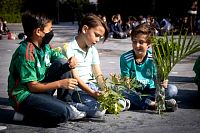 31102022rosario_misionero_primaria202210.jpg