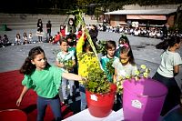 31102022rosario_misionero_primaria202272.jpg