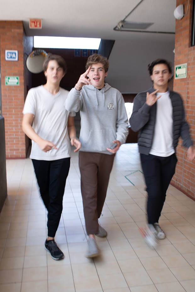 Ir a la Siguiente Foto