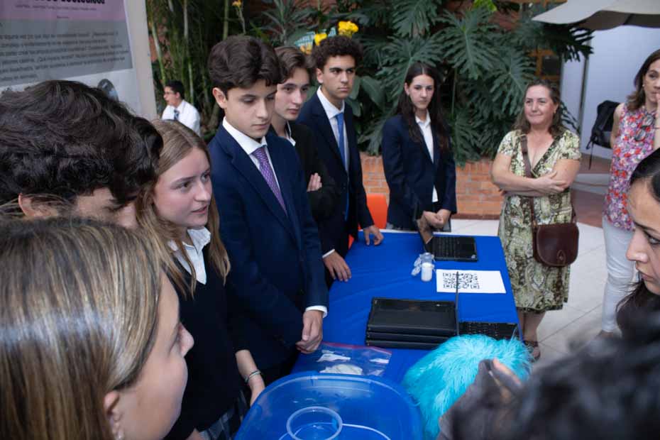 Ir a la Siguiente Foto