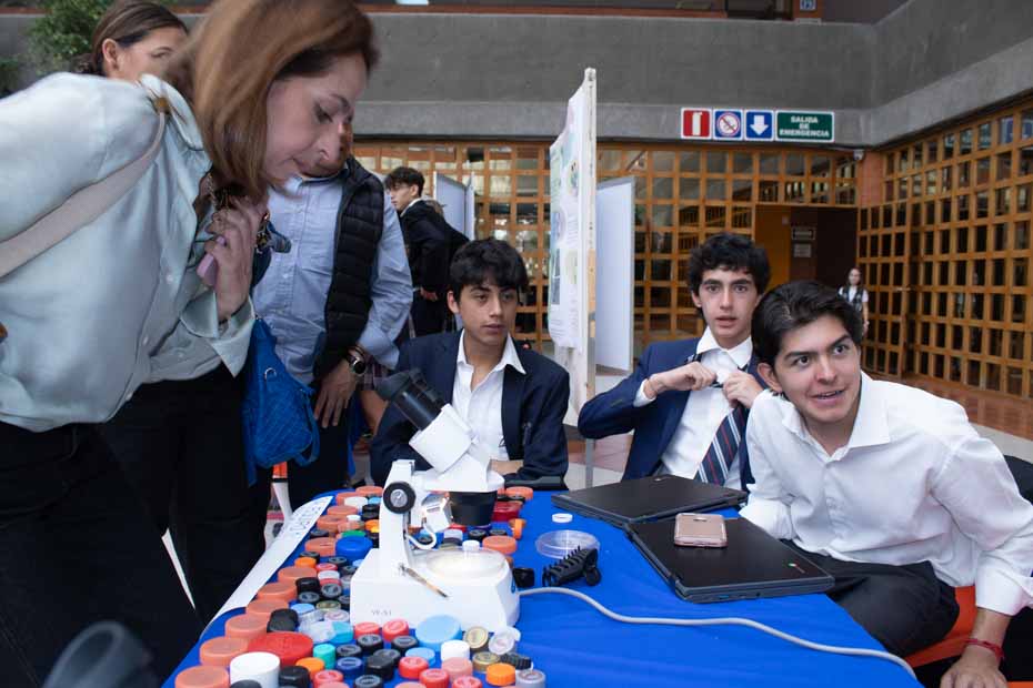 Ir a la Siguiente Foto