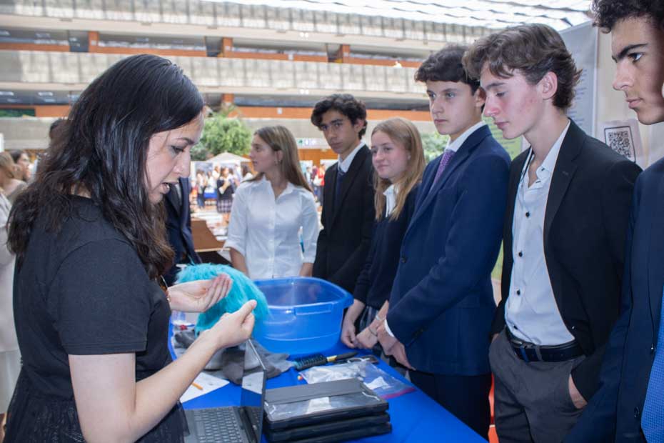 Ir a la Siguiente Foto