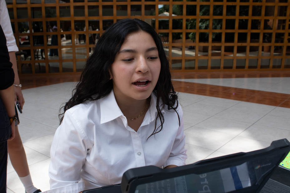 Ir a la Siguiente Foto