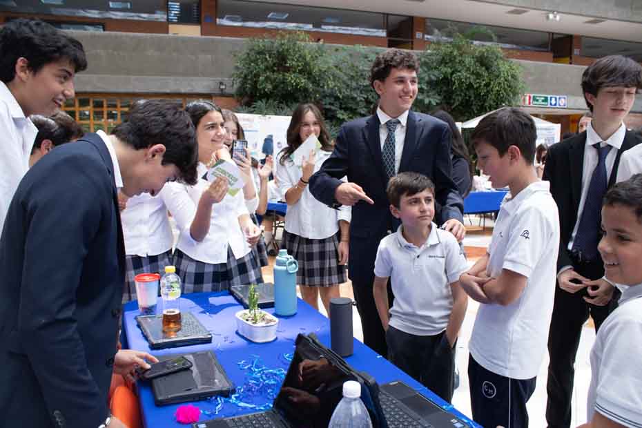 Ir a la Siguiente Foto
