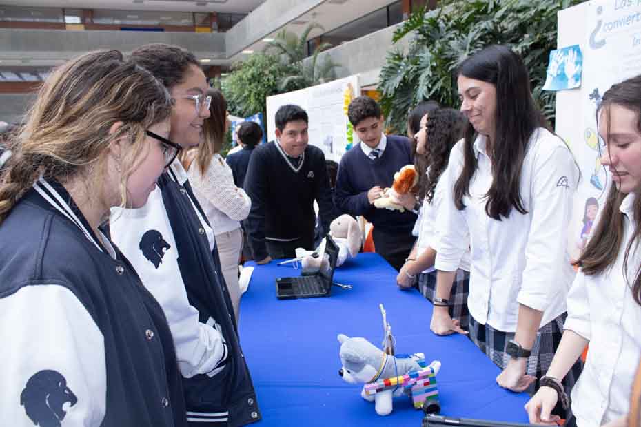 Ir a la Siguiente Foto