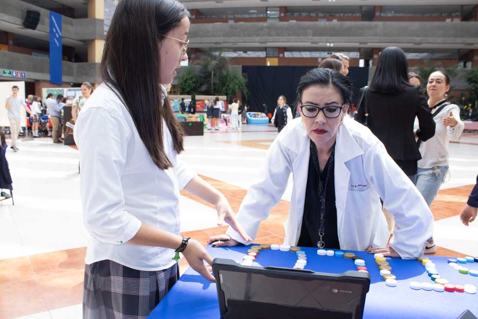 Ir a la Siguiente Foto