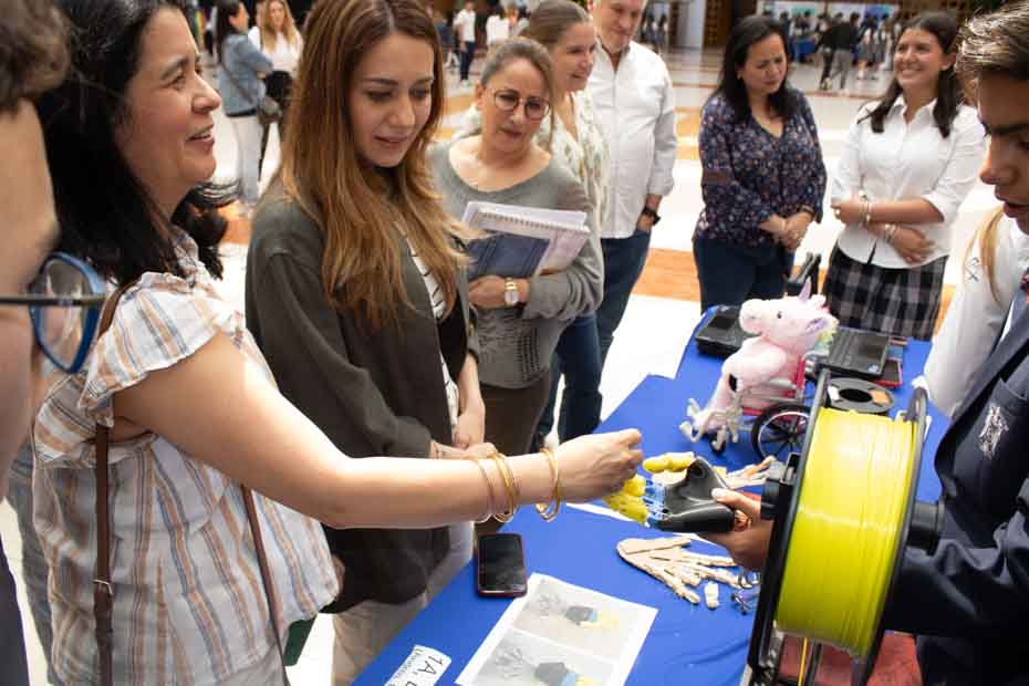 Ir a la Siguiente Foto