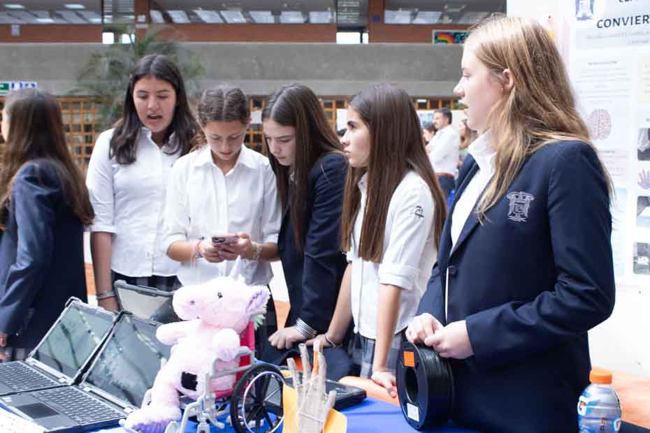 Ir a la Siguiente Foto