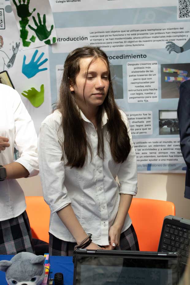 Ir a la Siguiente Foto