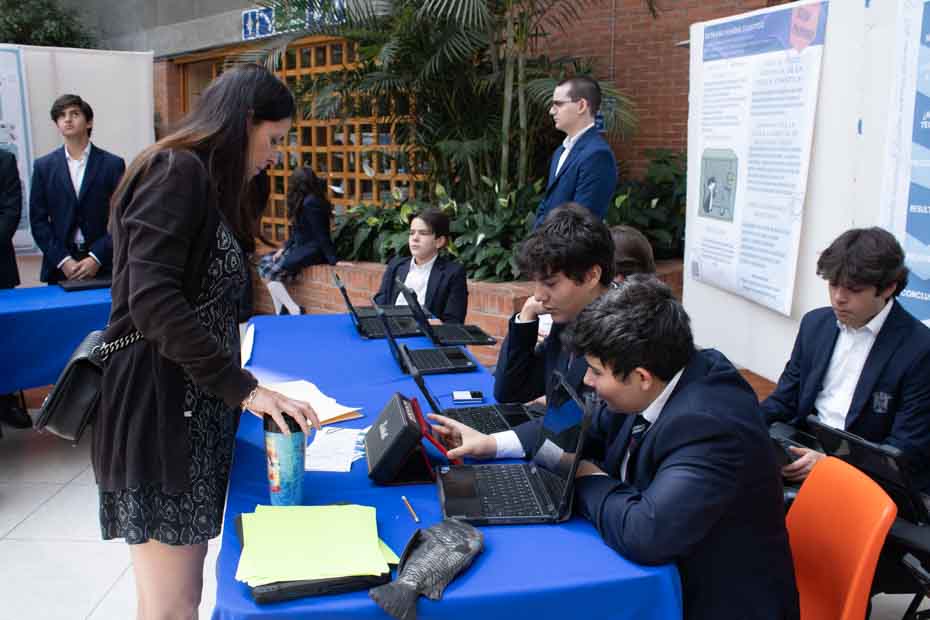 Ir a la Siguiente Foto