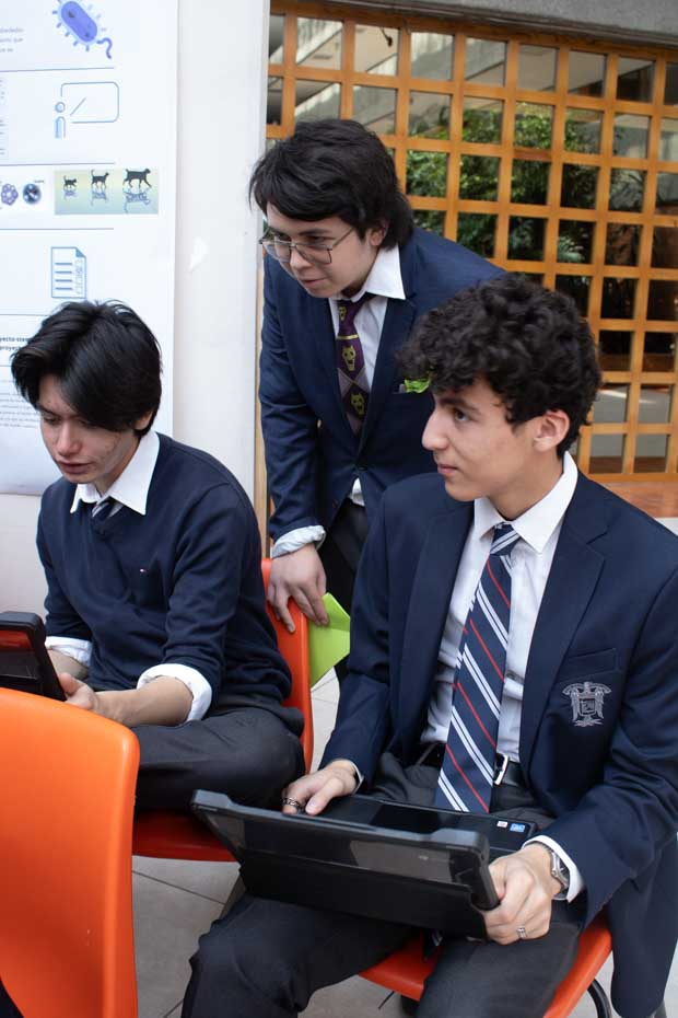 Ir a la Siguiente Foto