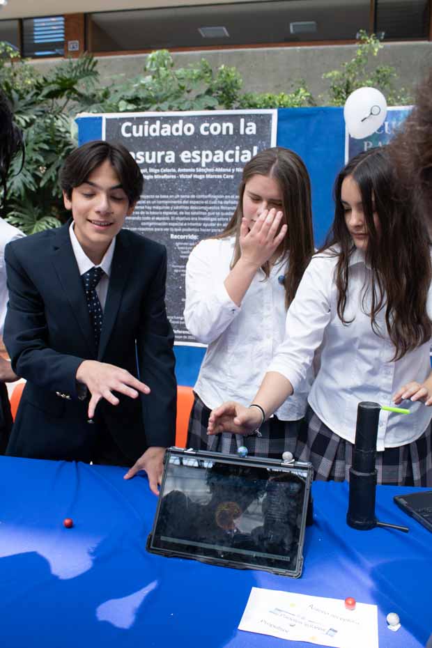 Ir a la Siguiente Foto