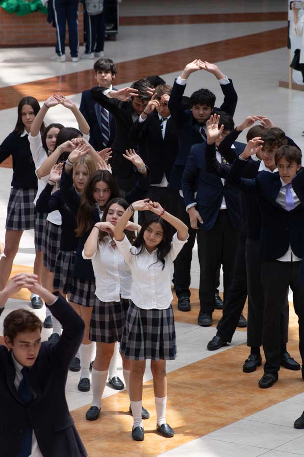 Ir a la Siguiente Foto