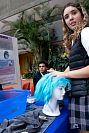 01062023stem_secundaria2023713.jpg